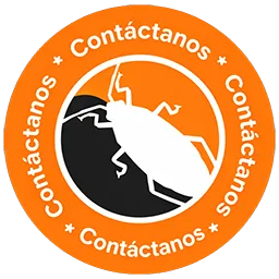 Contactanos por WhatsApp